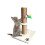 Pet Speelgoed Meubels Kat Krabbel Stickers 11