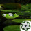 Solar Lotus Lamp Waterdicht PC Zwembadlicht Wit 6