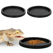 Schildkröten Wasserschale Flache Futterstation Für Reptilien