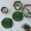 Kunstmatige Topiary Blad Bollen Voor En Buiten 6