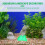 Compact Fluorescent Rockery Decor Plastic Aquarium Accessory 11
