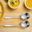 Set Aus 5 Servierlöffeln Für Partys, Buffets, Catering 4