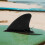 Fin Austauschbare Surfboard SUP Paddel 4