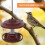 Wildvogelfutterer PP 1 Mit Retro Design 11