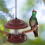Wildvogelfutterer PP 1 Mit Retro Design 6
