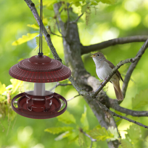 Wildvogelfutterer PP 1 Mit Retro Design 1