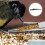 2Pack -Futterspender Löffel Silber Für Vogelfutter Füttern 6