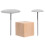 Worgeous Cake Flower Nägel Set Aus Holz 11