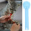 Compacte Pour De Chat Usage 6