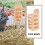 Bunny Feeder Unieke 1-Pack 10