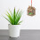 1pcs Wooden Cage For Storage And Display 5