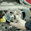 Worgeous Mini Vorhängeschloss Stoßdämpfer Autoreparatur 4