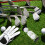 Clear PVC Golfball Behälter 5 Für Präsentation 6