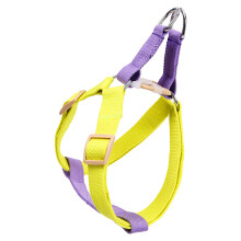 Hundegeschirr Polyester Mit Leine