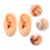 Realistisches Silikon Set Für Piercing Und Ohrringe 9