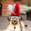 Pet Kopfschmuck Verkleidung Make-Up 9