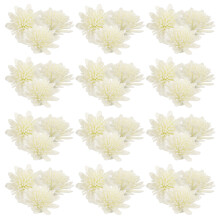 100 Aromatherapie Diffusor Blumen Chrysanthemen Zubehör