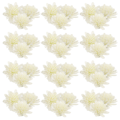 100 Aromatherapie Diffusor Blumen Chrysanthemen Zubehör