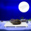Fish Tank Partition Aquarium Isolation Board Baby 4