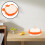 1 Set Essensschüssel Mit PP Orange Für Die Essenszeit 7
