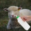 850 Ml Trinkflasche Für Kalb Ziege Mit 11