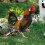2Stück Dekorative Gartenstecker Beidseitig Acryl Ente 4