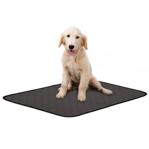 1St Hundeklo Matte Urinpad Verdickt 1