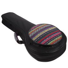 1 Stuks Mandoline Instrumententas Gekke Kleuren Voor Muziekliefhebbers