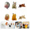 Hedgehog Figurine Form PVC 6 11