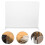 4St Fachteiler Zur Organisation 4