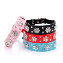 Hundehalsband Und Langlebiges Großhundpet