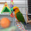 2 Sets Sjaal Hout Comfortabel 8