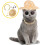 3 Kleidung Und Accessoires Für Katzen 8