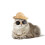3 Kleidung Und Accessoires Für Katzen 10