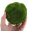 Künstliche Mooskugeln 10 cm Falsche Grüne Buchsbaumkugel 6