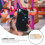 10Stück Cover Slider Abs Lackiert 10