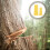 Unbranded 4 Keil Met Plastic Tip Voor Hout 7