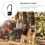 Muzzle Hond Ademend Mesh Buiten 11