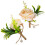 8 Stuks Bruiloft Boutonnière , Corsage Decor 2