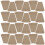 Growing Cups Papier 50 3,14x3,14x1,57 Zoll 1