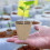 Growing Cups Papier 50 3,14x3,14x1,57 Zoll 3