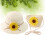 Chapeau Protection Solaire Confortable 4