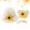 Chapeau Protection Solaire Confortable 5
