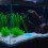 200 Compacte Aquariumstenen Voor Buitenpaden 11