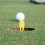 8Pièces Outil Réparation Gazon Golf En Assorti Compact 6