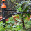 Raindrops 20 Tropfbewässerungssystem Für Garten 6