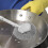 Bürste 30,50X9,50X4,00Cm Silber 5