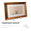 12 -Display- Mit Transparenter Basis 3