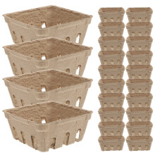 Paper Berry Containers Voor Fruit En Groenten Beige 24 Stuks