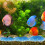 Gebroken Edelsteen Kralen Vaasvuller Aquarium 11